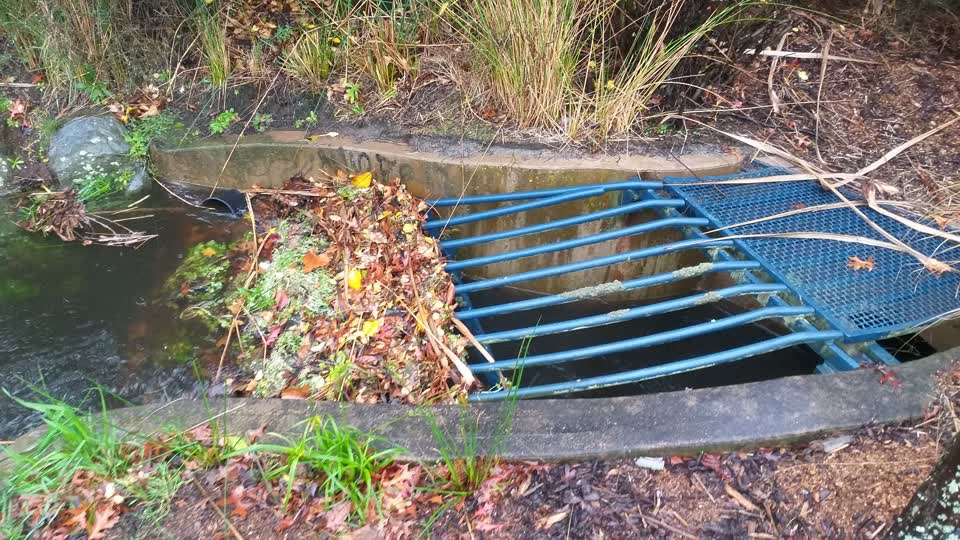 The photograph attached to this flooding report