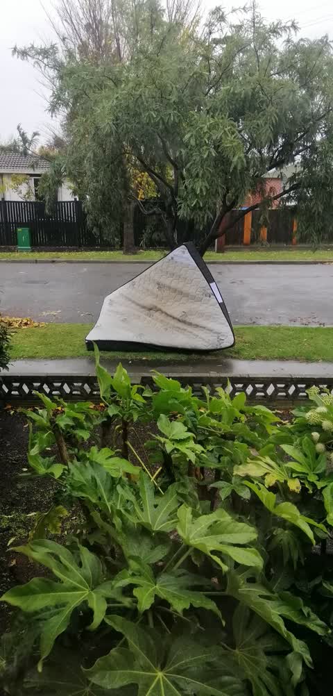 Rubbish/Recycling, a report photo