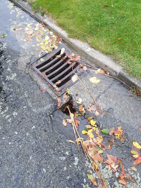 Roading/Streets, a report photo