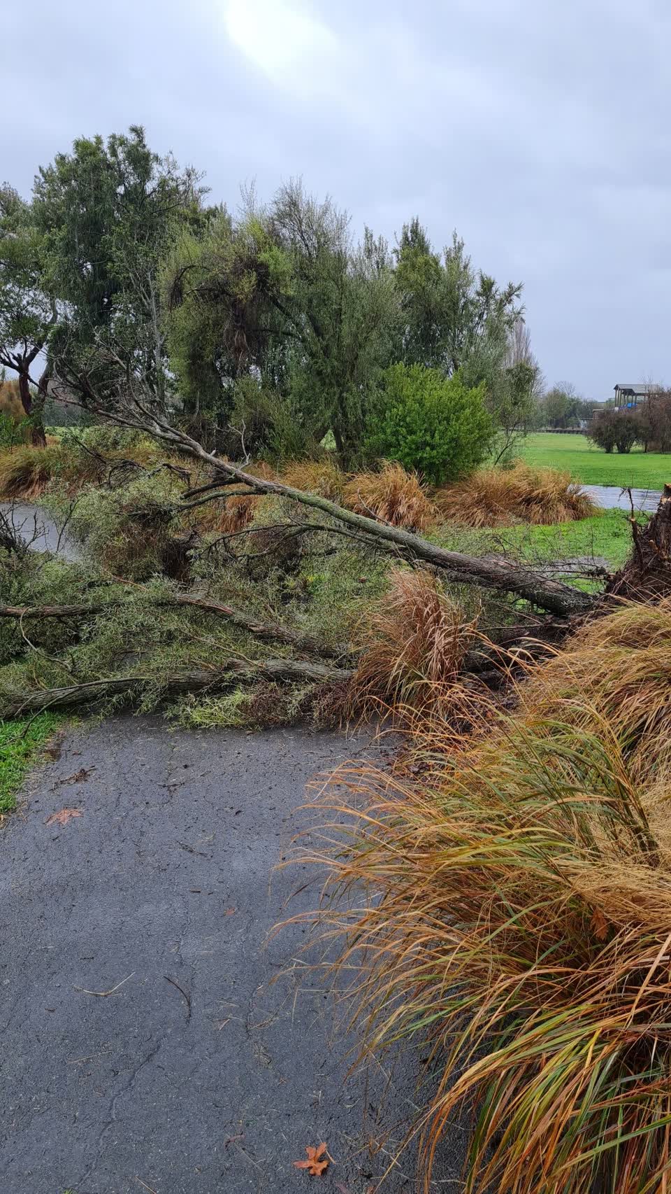 The photograph attached to this parks report