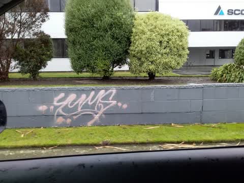 Graffiti, a report photo