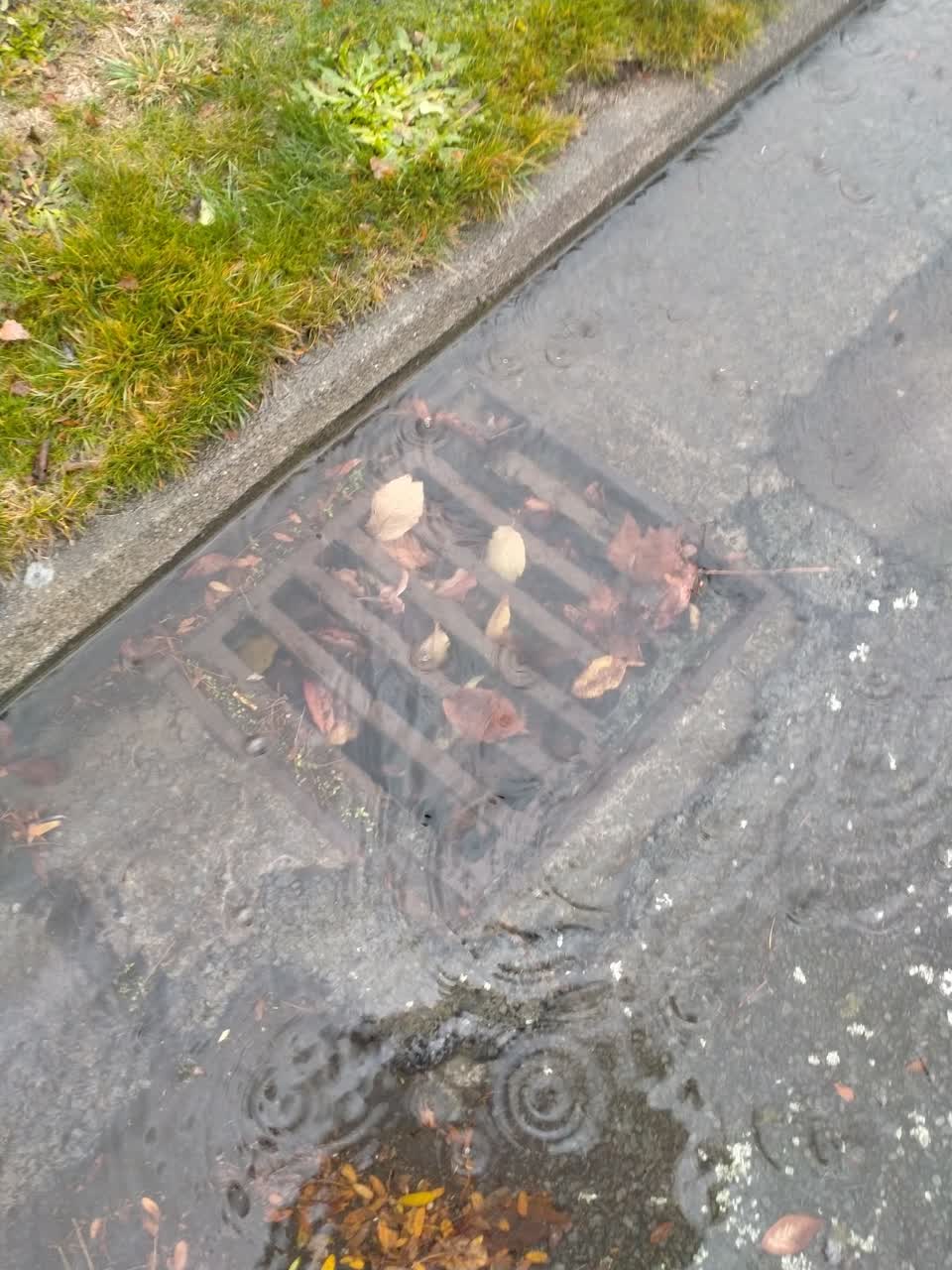 The photograph attached to this wastewater/stormwater report