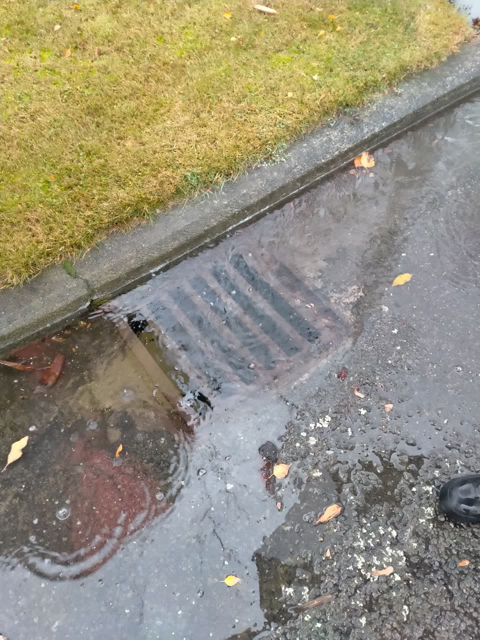 The photograph attached to this wastewater/stormwater report