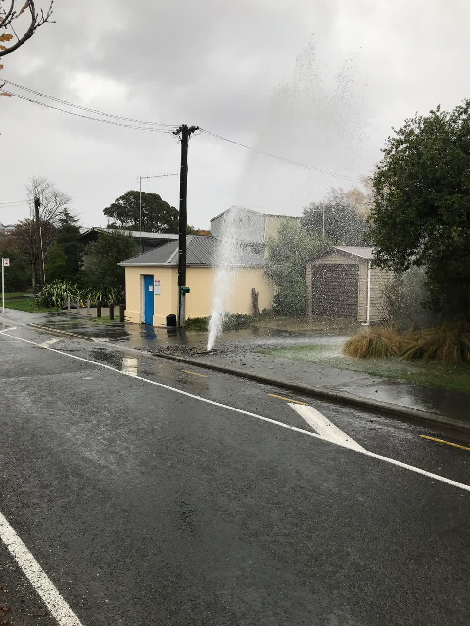 The photograph attached to this water leak report