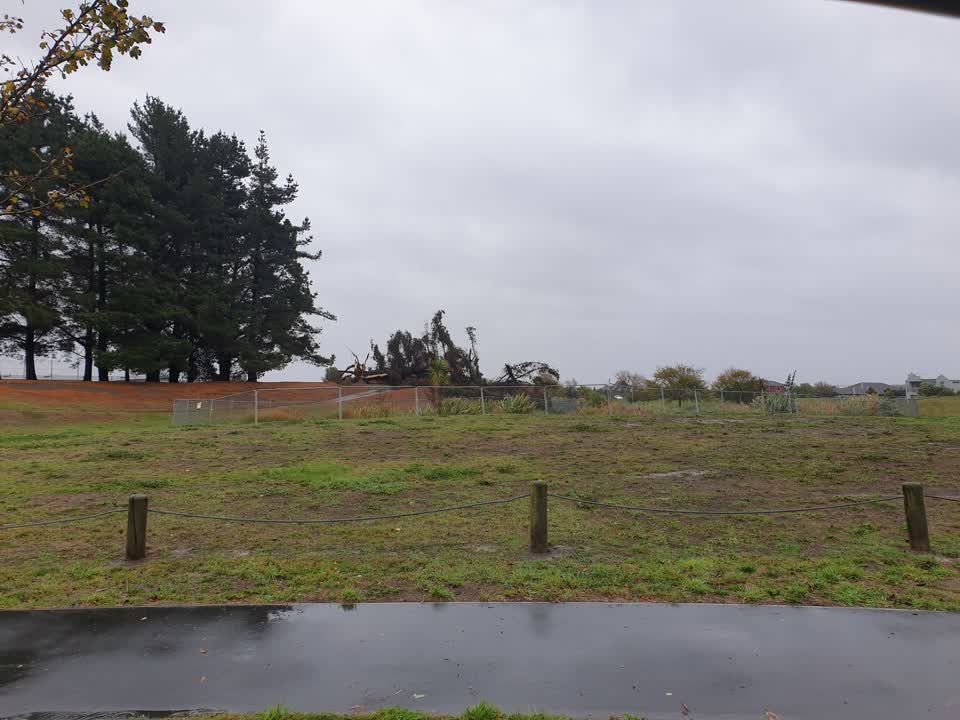 The photograph attached to this parks report
