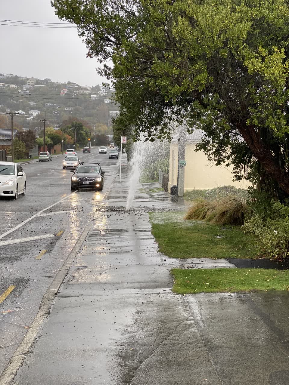 The photograph attached to this sewer - leak / blockage report