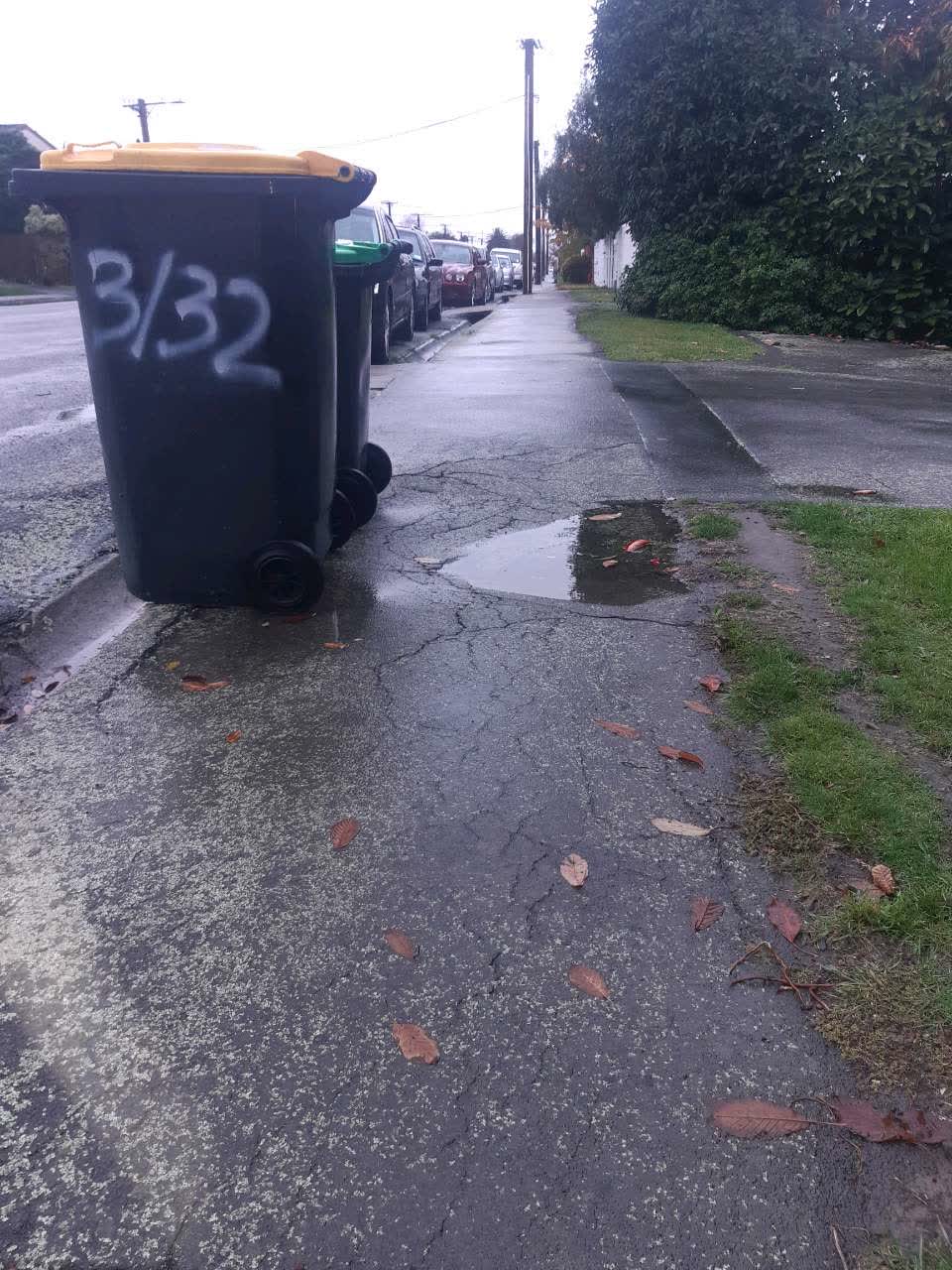 The photograph attached to this roading/streets report