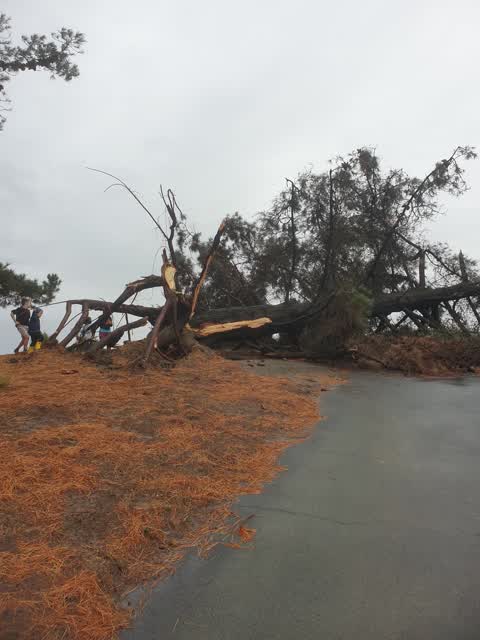 Parks, a report photo
