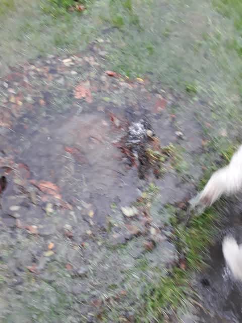 Wastewater/Stormwater, a report photo