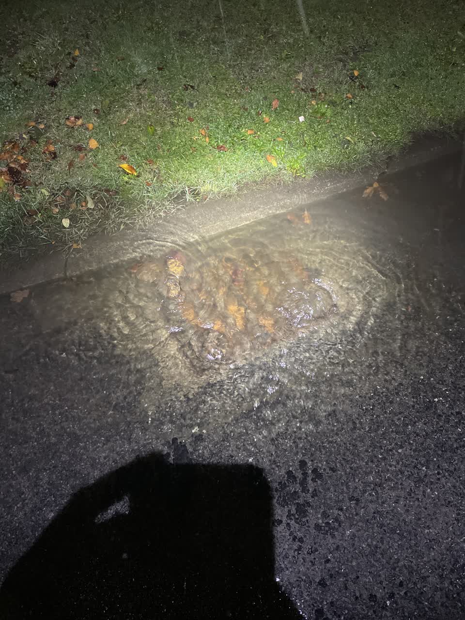 The photograph attached to this wastewater/stormwater report