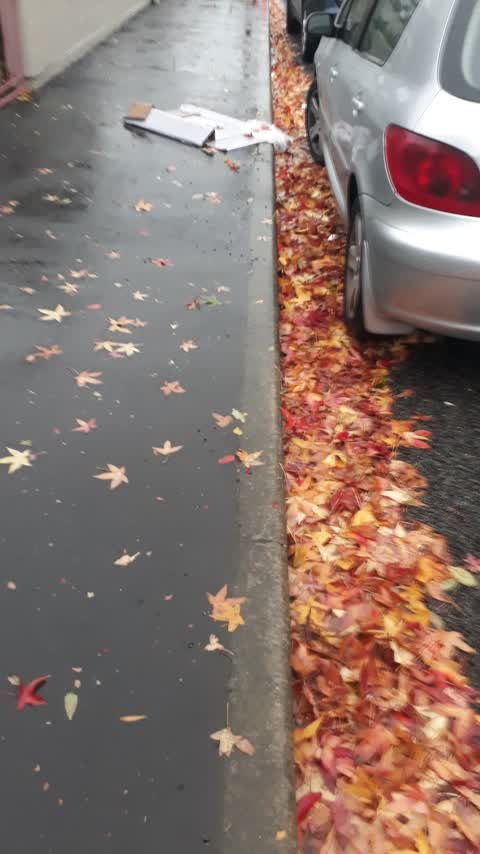 Roading/Streets, a report photo