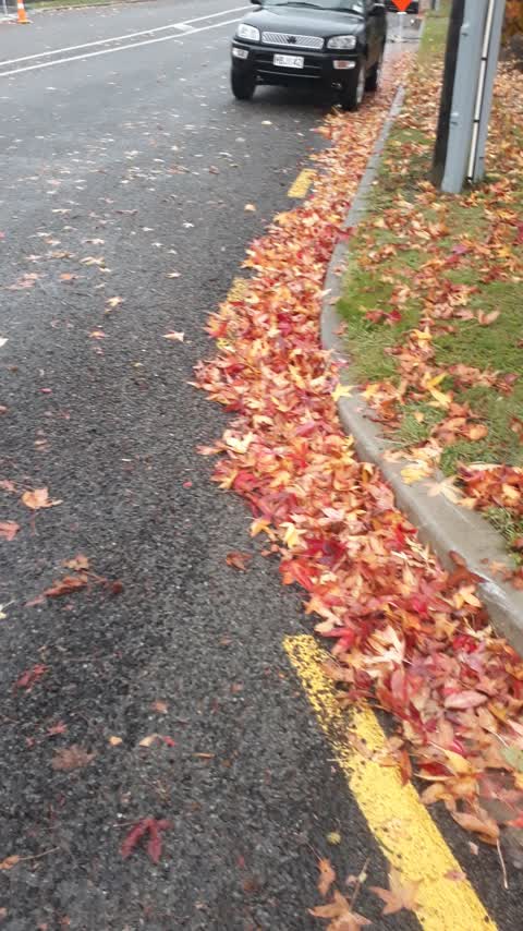 Roading/Streets, a report photo