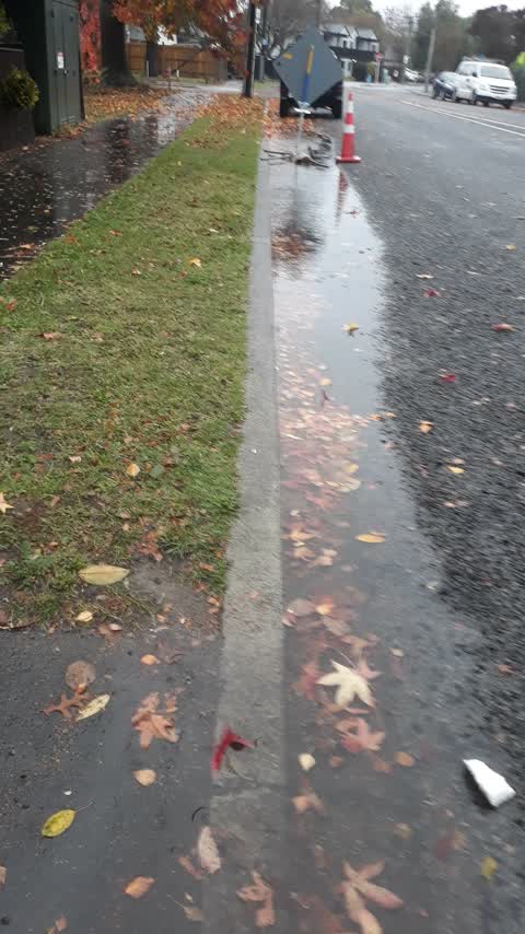 Roading/Streets, a report photo