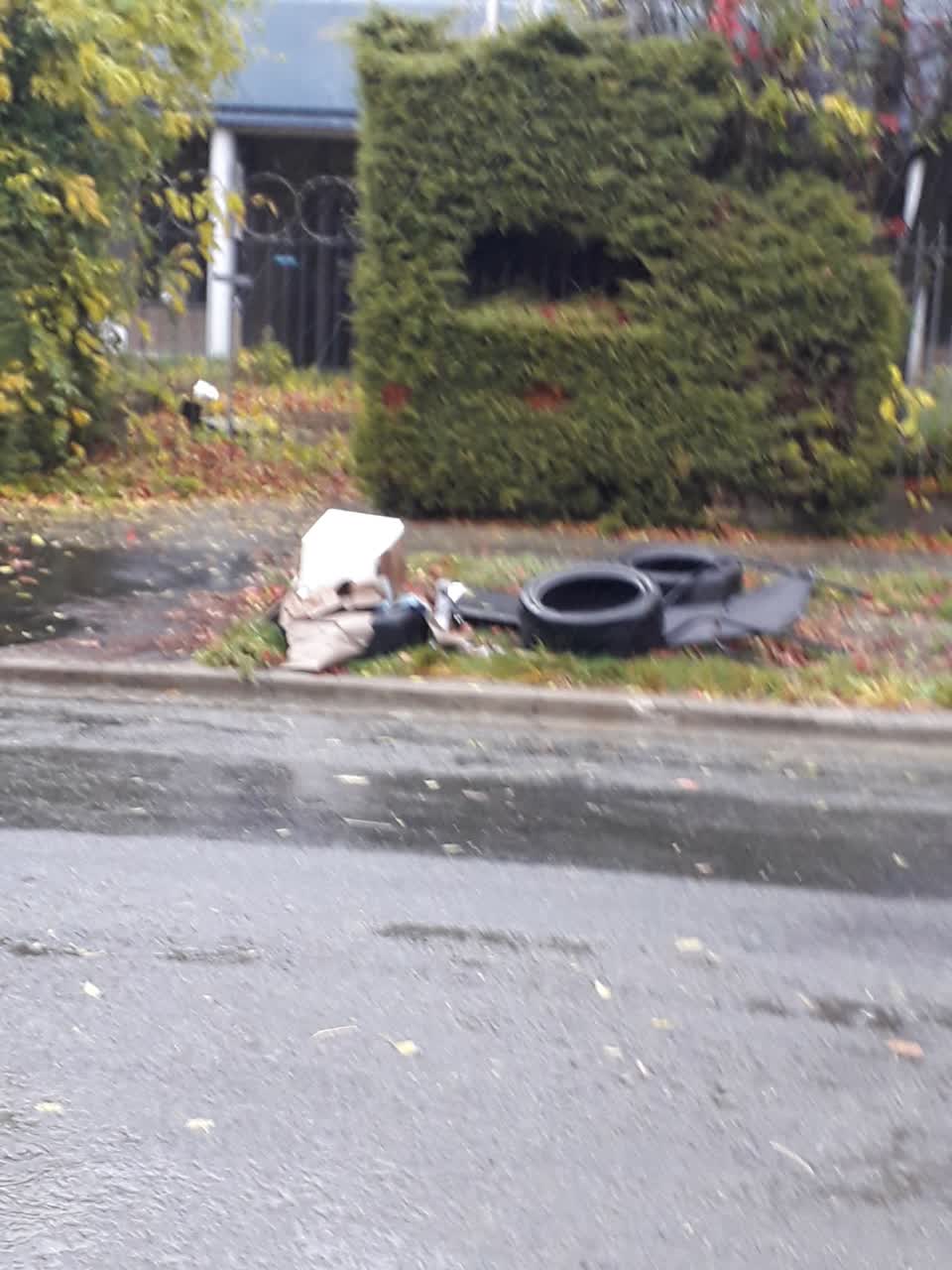 The photograph attached to this rubbish/recycling report