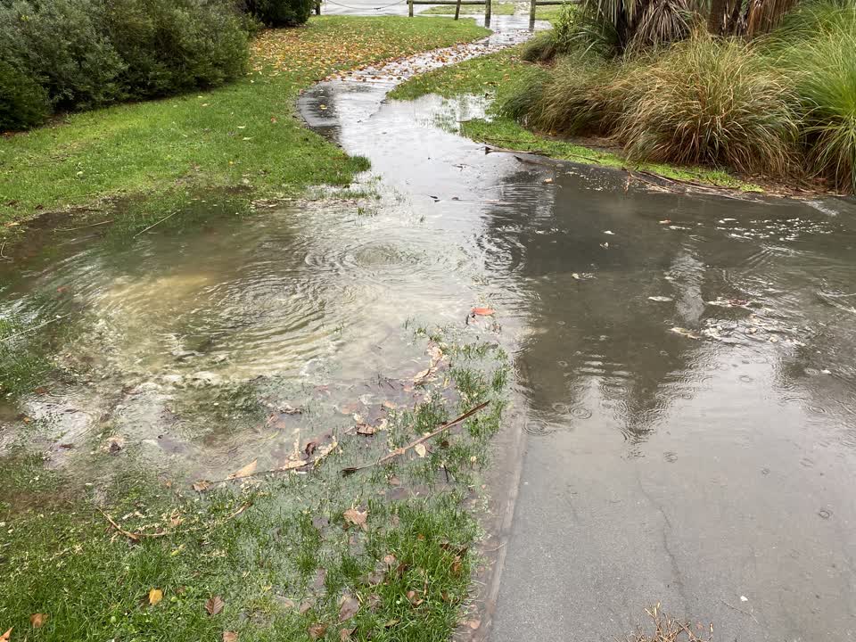 The photograph attached to this sewer - leak / blockage report