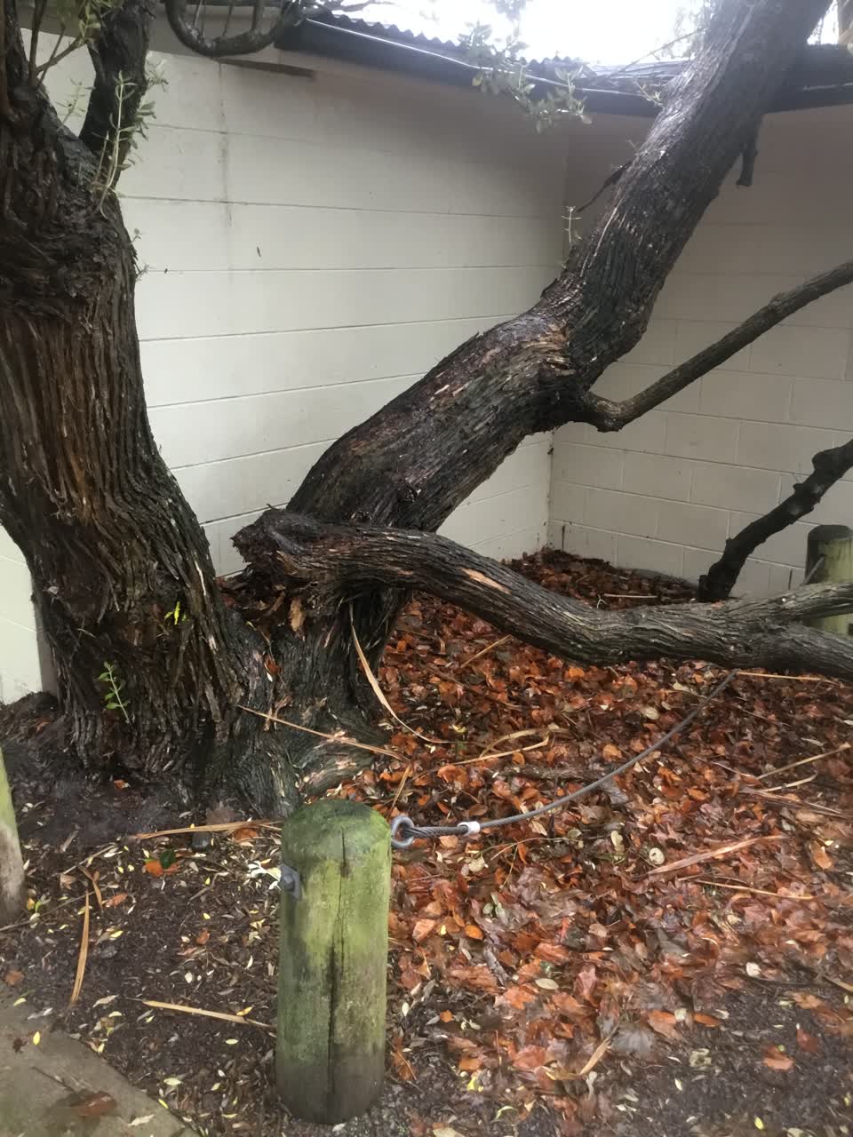 The photograph attached to this parks report