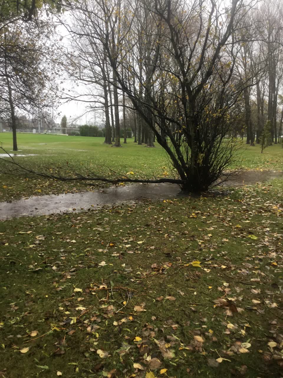 The photograph attached to this parks report