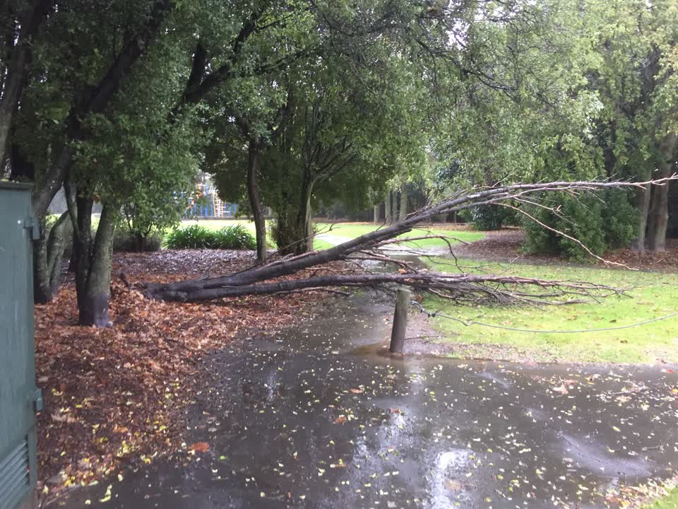 The photograph attached to this parks report