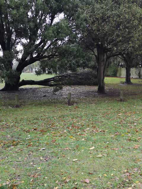 Parks, a report photo