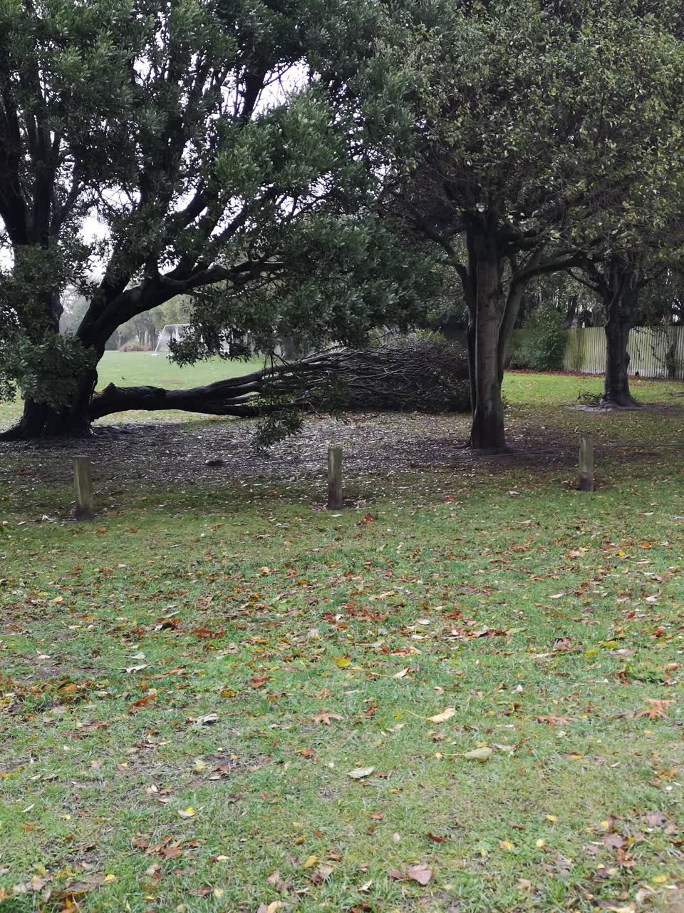 The photograph attached to this parks report
