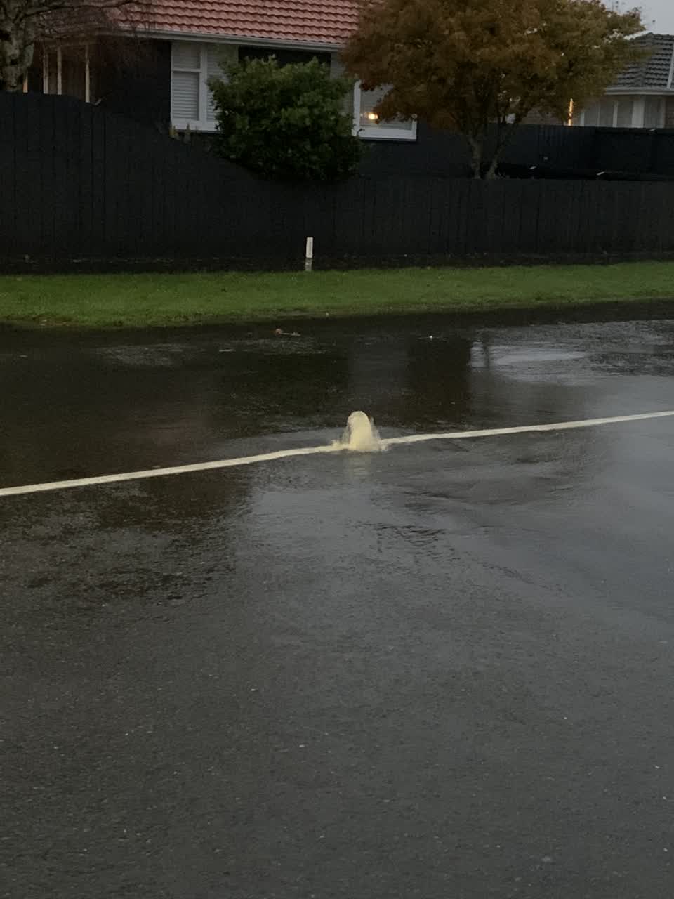 The photograph attached to this sewer - leak / blockage report