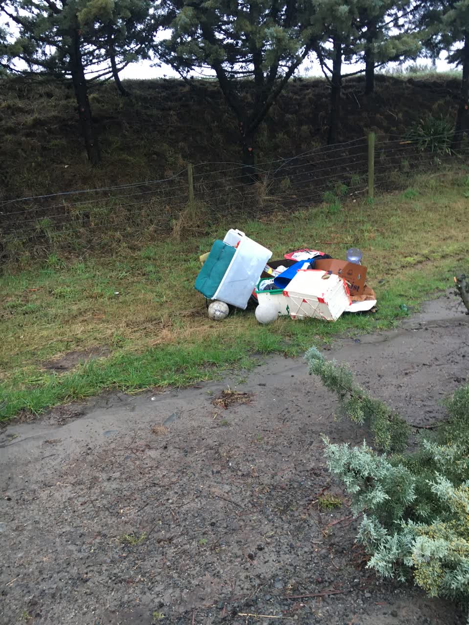 The photograph attached to this rubbish/recycling report