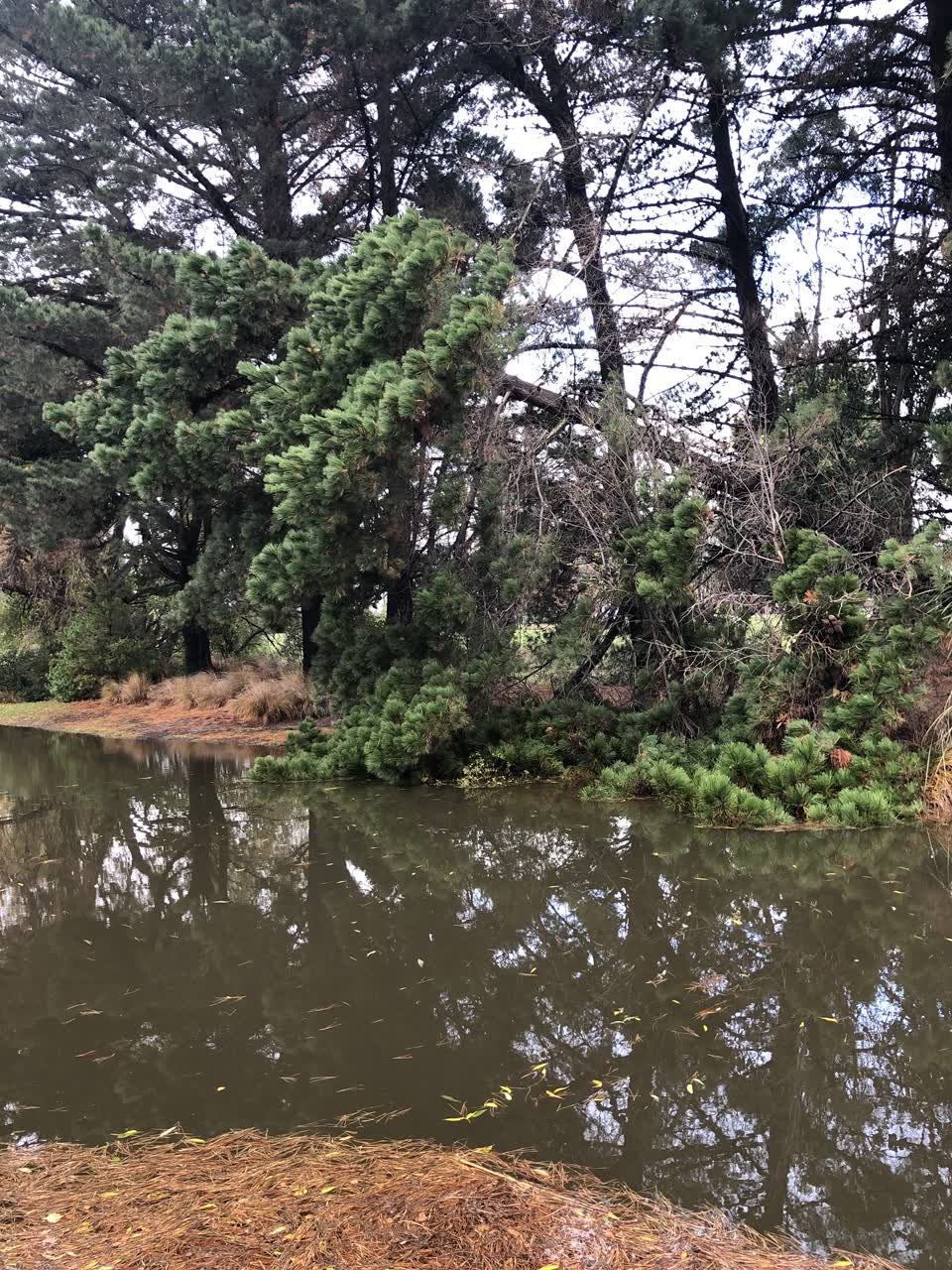 The photograph attached to this parks report