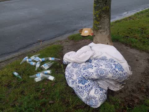 Rubbish/Recycling, a report photo