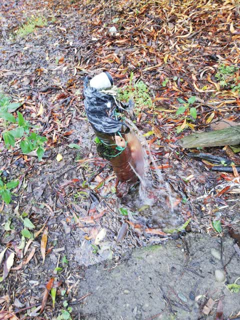 Water Leak, a report photo
