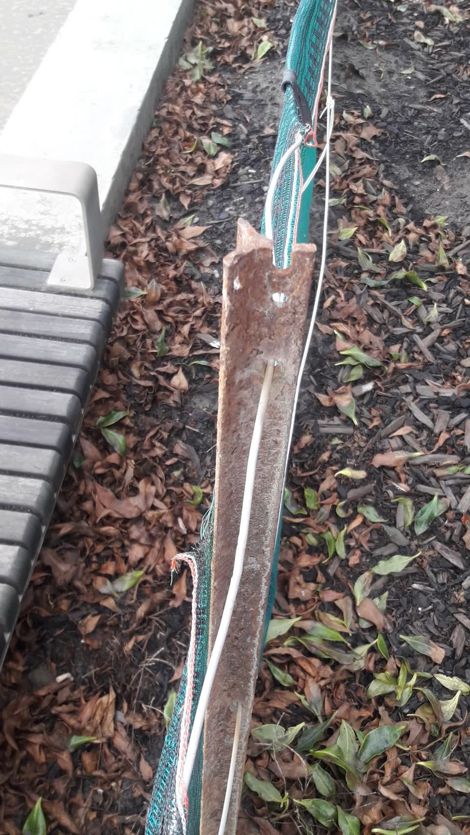 The photograph attached to this parks report