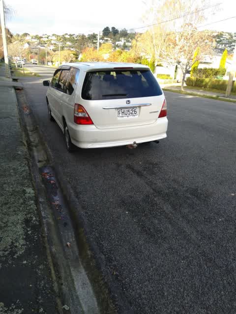 Roading/Streets, a report photo