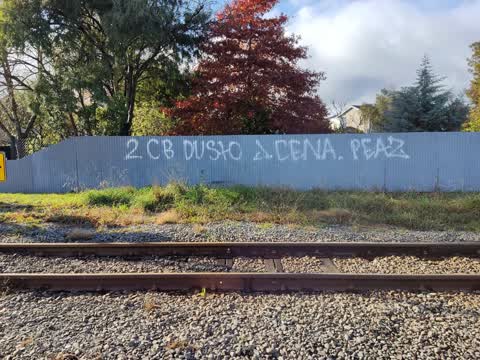 Graffiti — a report photo