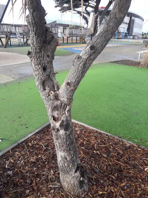 Parks — a report photo