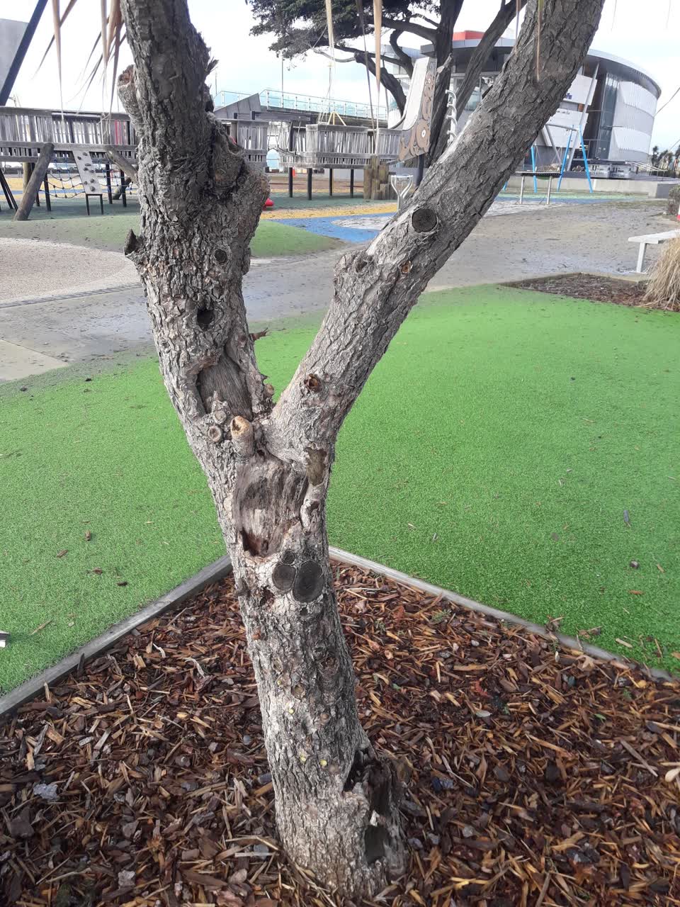 The photograph attached to this parks report