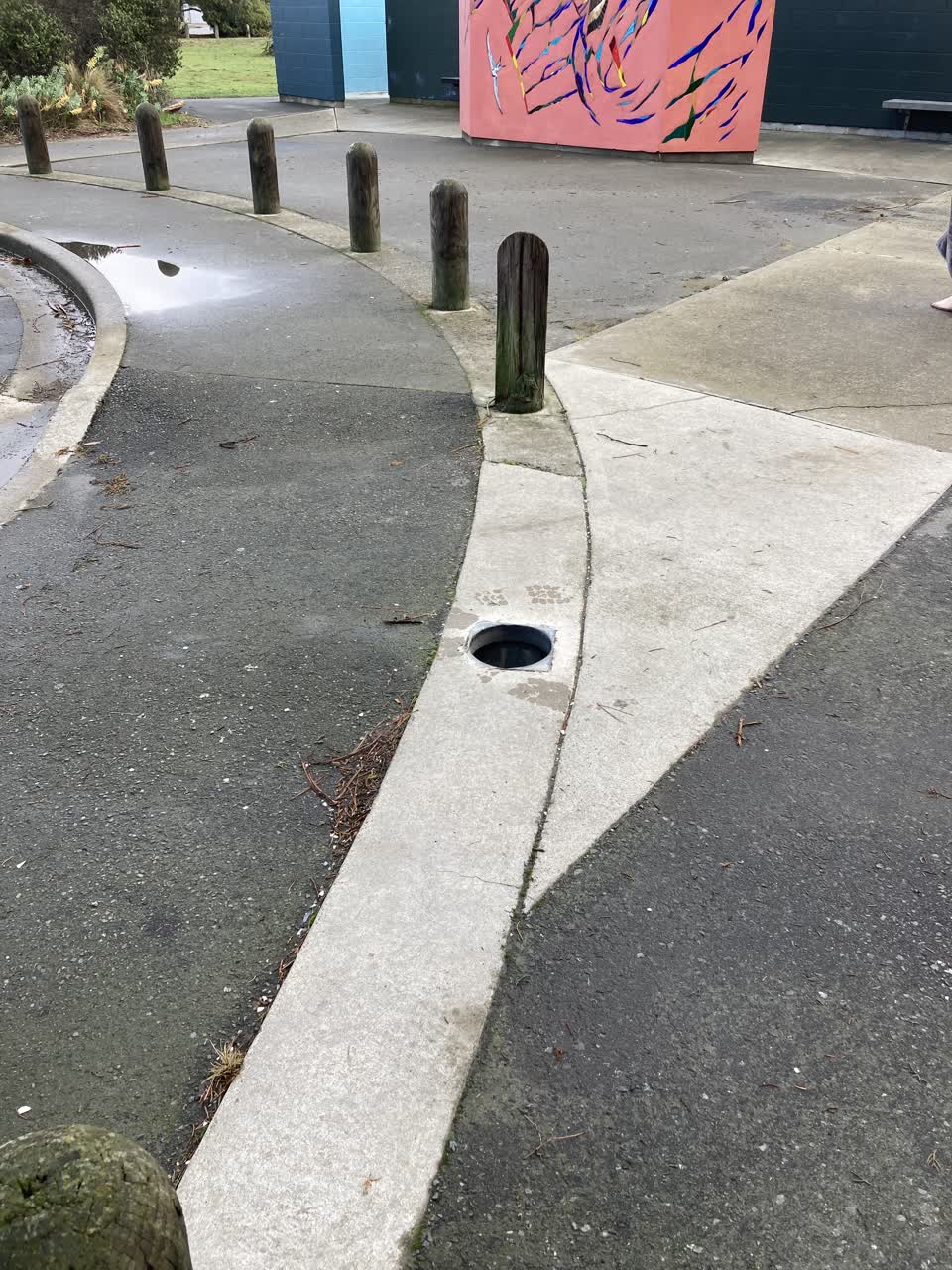 The photograph attached to this parks report
