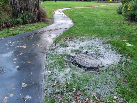 Sewer - Leak / Blockage — a report photo