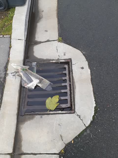 Wastewater/Stormwater, a report photo