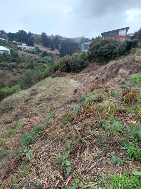 Wastewater/Stormwater, a report photo