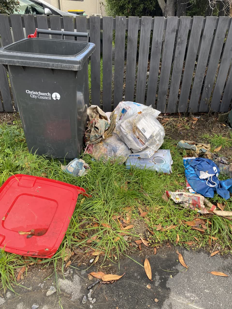 The photograph attached to this rubbish/recycling report