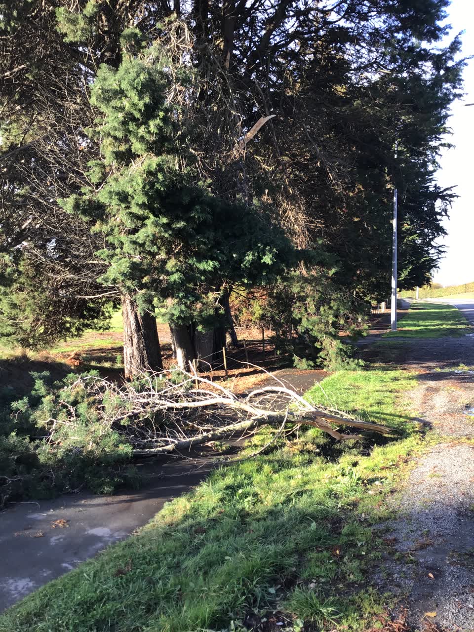The photograph attached to this roading/streets report