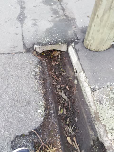 Wastewater/Stormwater — a report photo