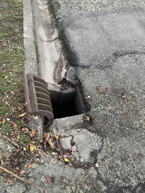 Roading/Streets, a report photo