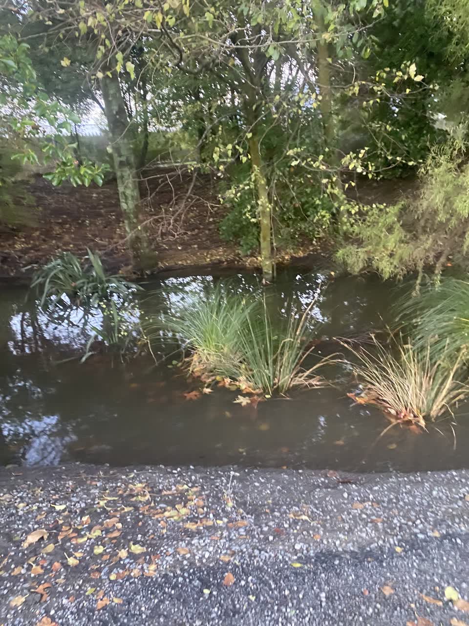 The photograph attached to this water supply report