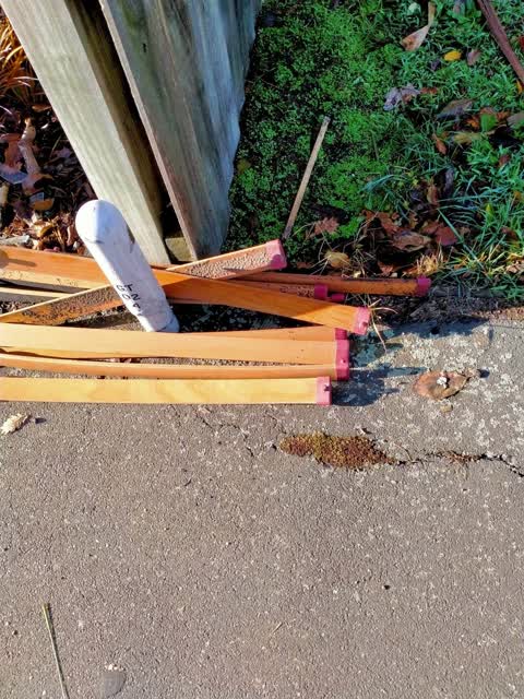Rubbish/Recycling, a report photo
