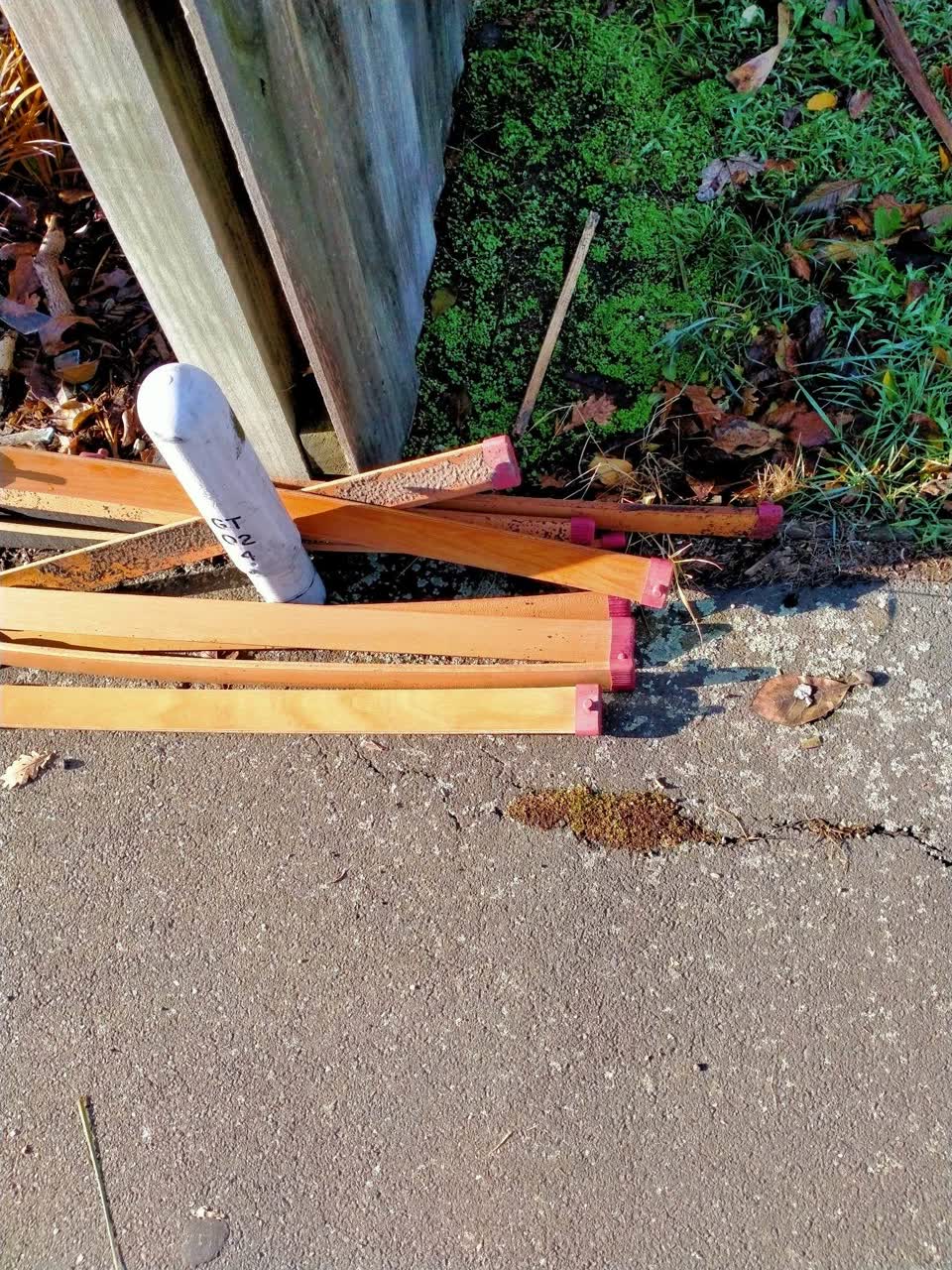 The photograph attached to this rubbish/recycling report