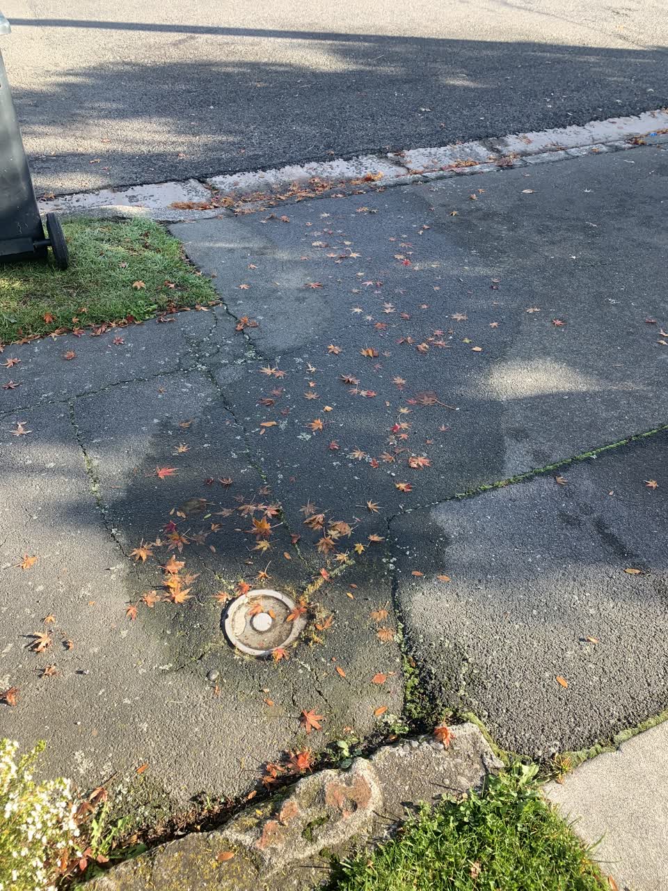 The photograph attached to this water leak report