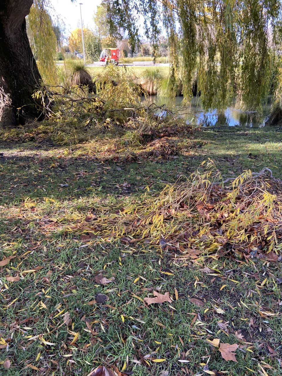 The photograph attached to this parks report