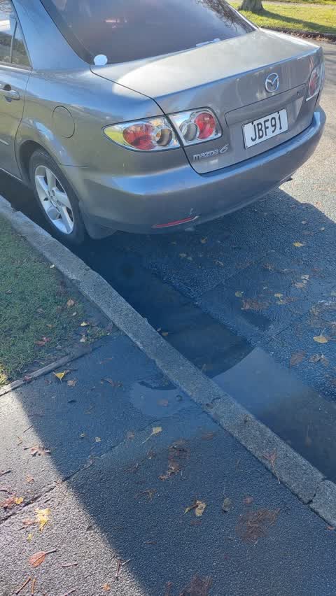 Roading/Streets, a report photo
