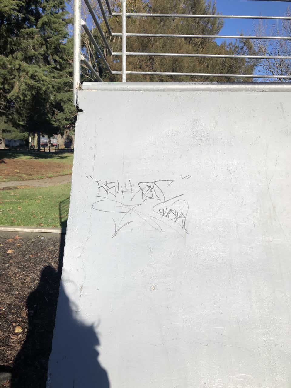 The photograph attached to this graffiti report