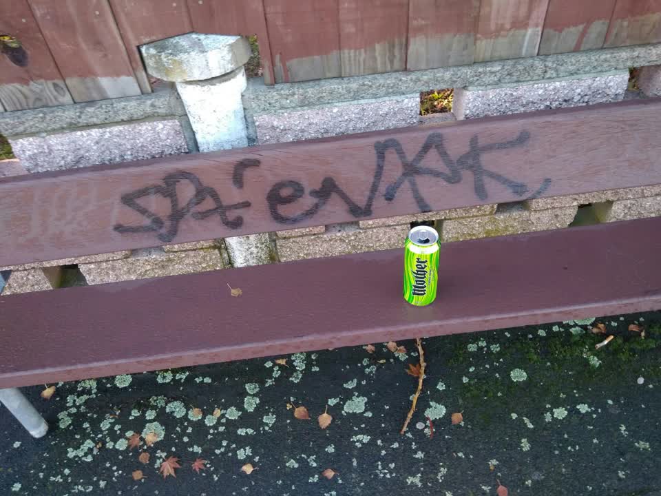 The photograph attached to this graffiti report